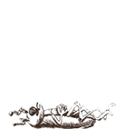 brunswick pest control offers pest control services to wilmington nc and surrounding areas